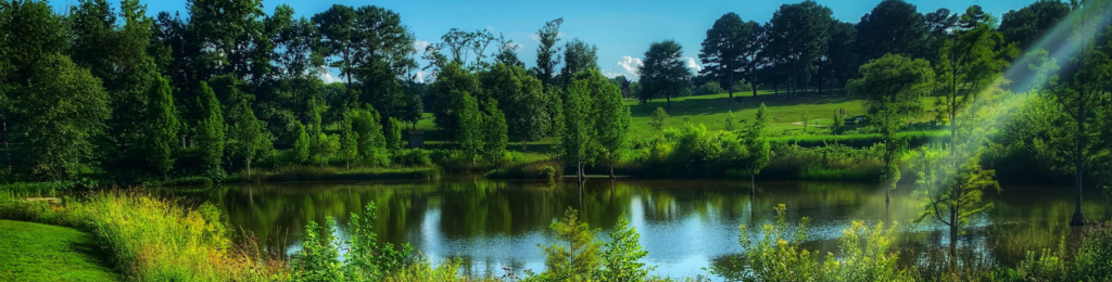 NC Clean Technology Center Supports Next Steps Towards a Clean, Equitable Economy in North Carolina Blog Card Thumbnail