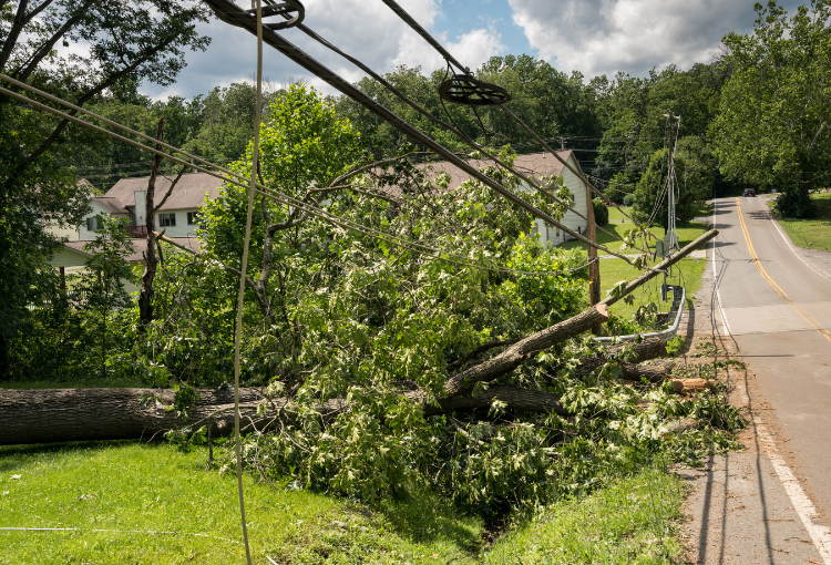 Resilient Community Microgrids to Serve Critical Loads in the Aftermath ...