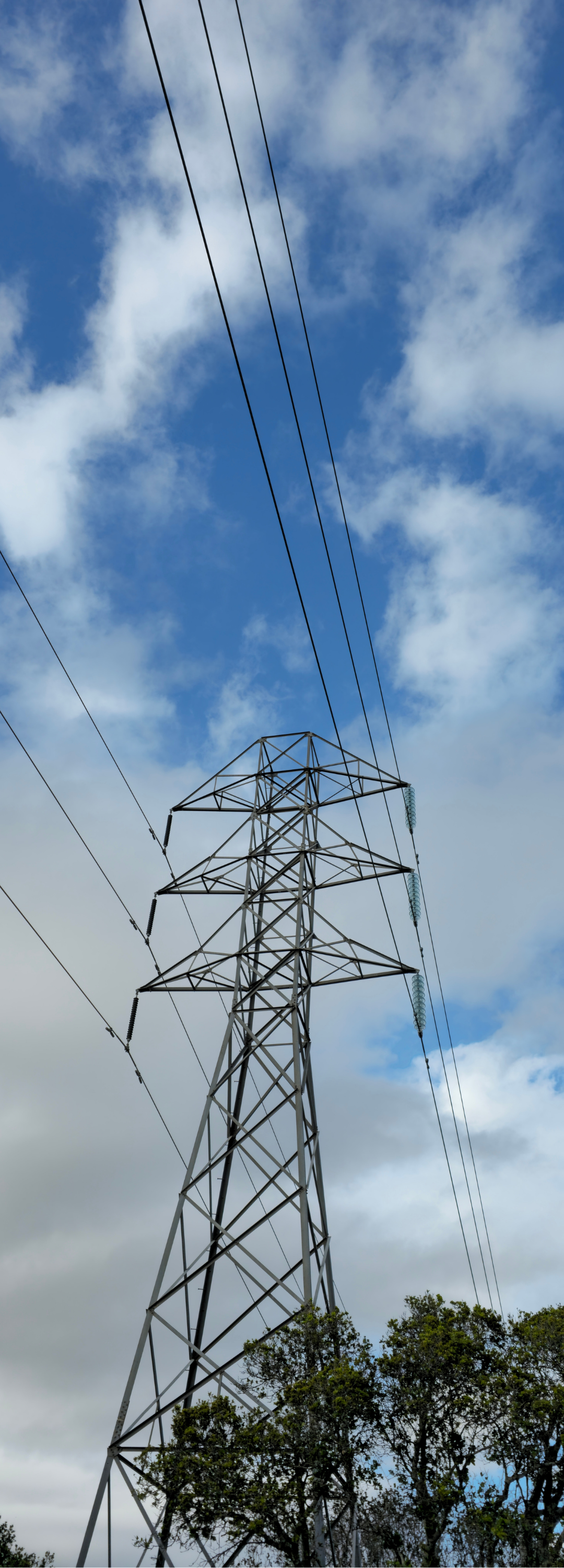 Webinars Section Image